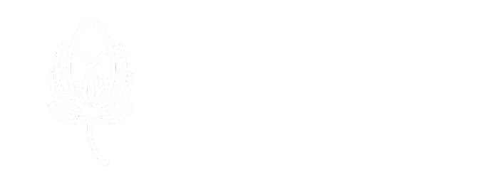 Trayi